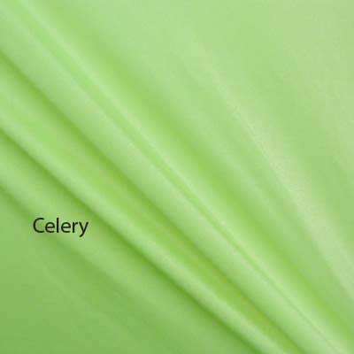 Celery Mesh